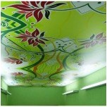 Дизайн потолка в зале: дизайн натяжных, гипсокартонных потолков для зала