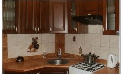 Дизайн угловой кухни (220 фото дизайна, 1 видео) (дизайн, угловой, кухня, дизайна) Дизайн угловой кухни (220 фото дизайна, 1 видео)