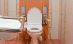 Дизайн туалета (150 фото интерьера, 1 видео)