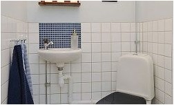 Дизайн туалета (150 фото интерьера, 1 видео)