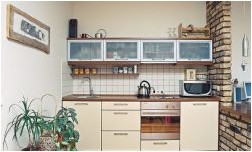 Кухня в хрущевке (135 фото дизайна на любой вкус) (кухня, хрущевке, дизайна) Кухня в хрущевке (135 фото дизайна на любой вкус)
