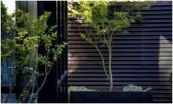 Заборы и ограждения из профнастила 100 фото